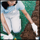 media photo gardening