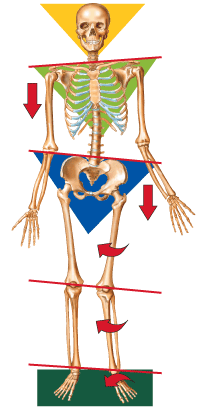 imbalance spine